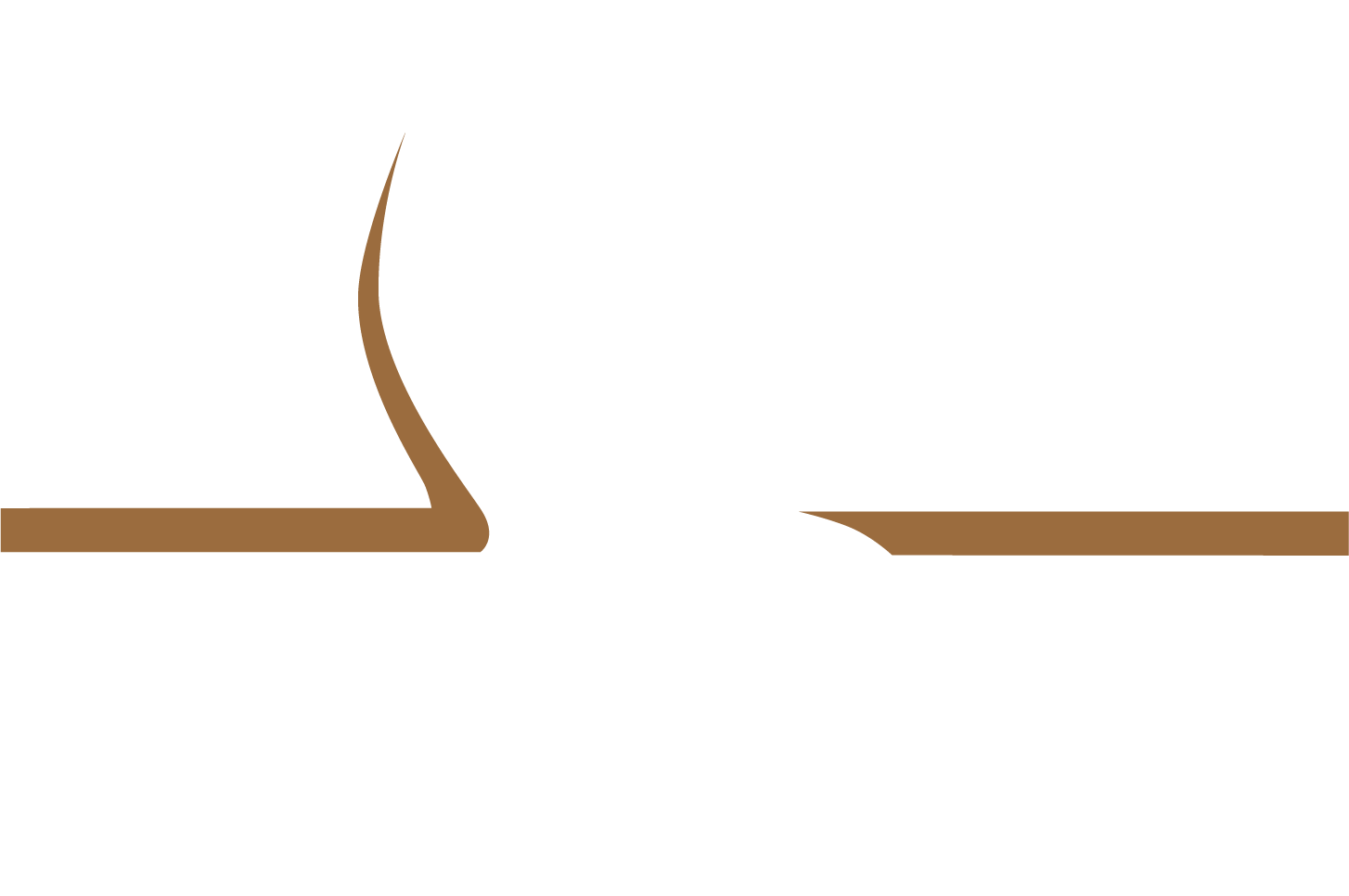 Toronto Diggers